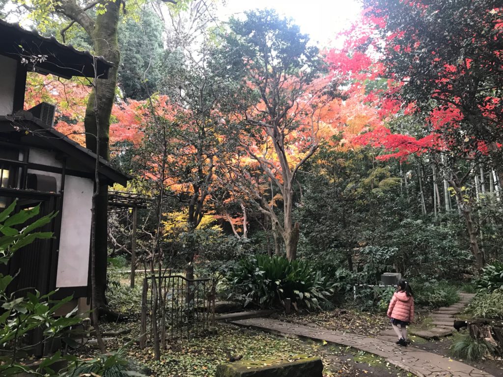 のびのびーの 小金井 子育て 子育ち支援サイト